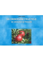 SĂ OBSERVĂM FRUCTELE DE GRĂDINĂ ŞI PĂDURE - planşe