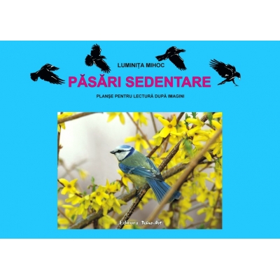 PĂSĂRI SEDENTARE - planşe PĂSĂRI SEDENTARE - planşe
