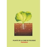 LEGUME COLORATE, DIN GRADINA RECOLTATE! - jetoane