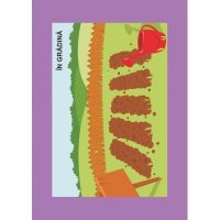LEGUME COLORATE, DIN GRADINA RECOLTATE! - jetoane