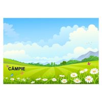 ANIMALE SĂLBATICE - jetoane