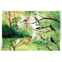 Din lumea pasarilor salbatice