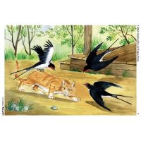 Din lumea pasarilor salbatice