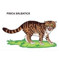 Animale salbatice - jetoane