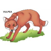 Animale salbatice - jetoane