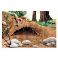 Animale salbatice - jetoane