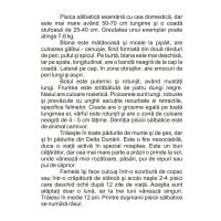 Animale salbatice - jetoane