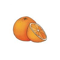 Jocul culorilor
