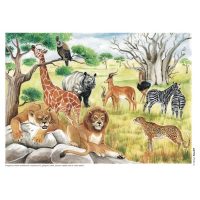 Vietuitoare si mediul lor de viata