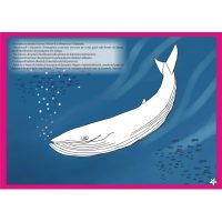 Vreau sa desenez animale de la poli (5-6/7 ani)