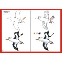 Vreau sa desenez animale de la poli (5-6/7 ani)