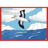 Vreau sa desenez animale de la poli (5-6/7 ani)