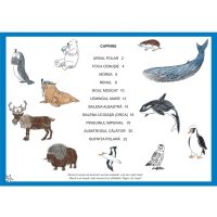 Vreau sa desenez animale de la poli (5-6/7 ani)