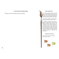 Sa invatam culorile cu Motanel (4-5 ani)