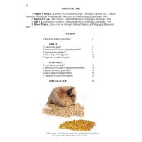 Ce stii despre grau si porumb ?