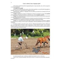 Ce stii despre grau si porumb ?