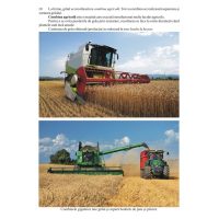 Ce stii despre grau si porumb ?