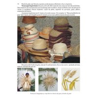 Ce stii despre grau si porumb ?