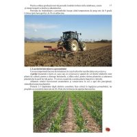 Ce stii despre grau si porumb ?