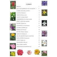 Prin gradini si parcuri