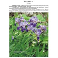 Prin gradini si parcuri