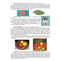 Modajul , inceputul unei pasiuni - ghid metodic