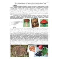 Modajul , inceputul unei pasiuni - ghid metodic