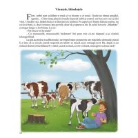 Intamplari dintr-o ograda , si cu pace si cu sfada