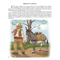 Intamplari dintr-o ograda , si cu pace si cu sfada