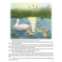 Intamplari dintr-o ograda , si cu pace si cu sfada