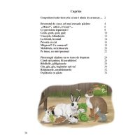 Intamplari dintr-o ograda , si cu pace si cu sfada