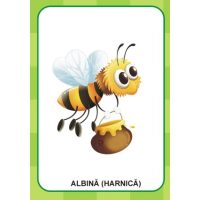 Denumeste si spune cum este!