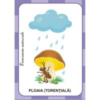 Denumeste si spune cum este!