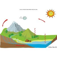 APA, SURSĂ A VIEŢII!