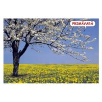 CALATORIE PRIN ANOTIMPURI