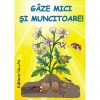 GAZE MICI SI MUNCITOARE
