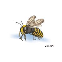 GAZE MICI SI MUNCITOARE