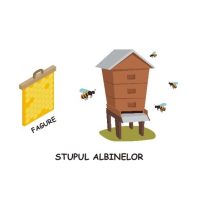 GAZE MICI SI MUNCITOARE