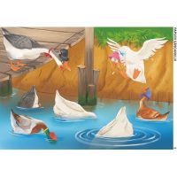 POVEȘTI POPULARE ILUSTRATE