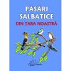 PĂSĂRI SĂLBATICE DIN ȚARA NOASTRĂ