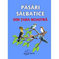 PĂSĂRI SĂLBATICE DIN ȚARA NOASTRĂ