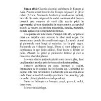PĂSĂRI SĂLBATICE DIN ȚARA NOASTRĂ