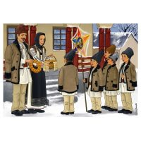 Totul despre iarna - planse