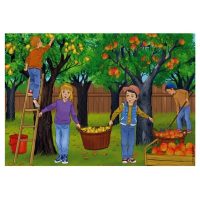 Plantele in anotimpul toamna - planse