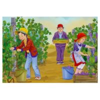 Plantele in anotimpul toamna - planse