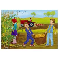 Plantele in anotimpul toamna - planse