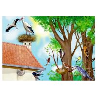 Primavara in natura - planse