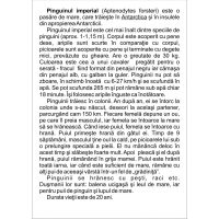 VIEŢUITOARE DE LA POLI