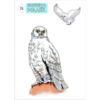 VIEŢUITOARE DE LA POLI