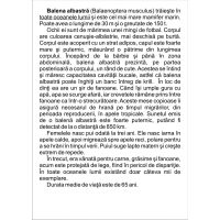 VIEŢUITOARE DE LA POLI